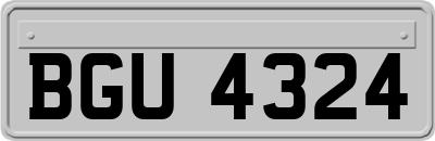 BGU4324