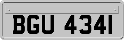 BGU4341