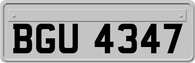 BGU4347