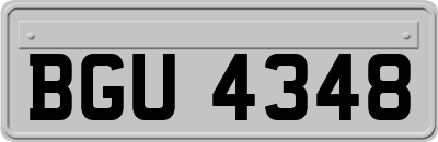 BGU4348