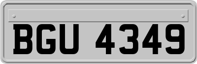 BGU4349