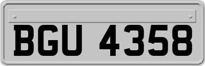 BGU4358