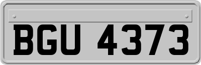 BGU4373
