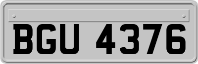 BGU4376