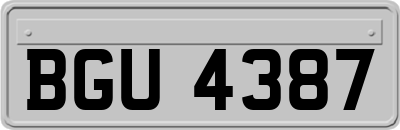 BGU4387