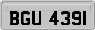 BGU4391