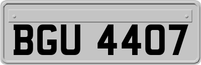 BGU4407