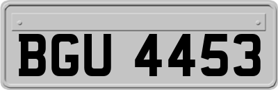 BGU4453