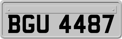 BGU4487