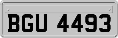 BGU4493