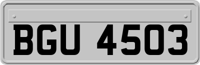 BGU4503