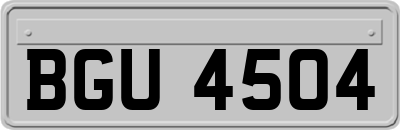 BGU4504