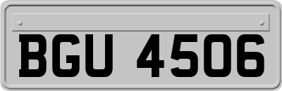 BGU4506
