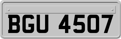 BGU4507