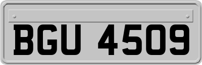 BGU4509