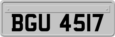 BGU4517