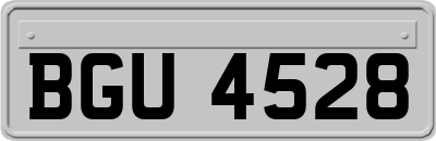 BGU4528