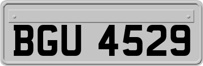 BGU4529