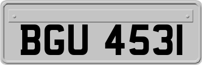 BGU4531