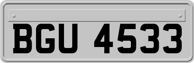 BGU4533