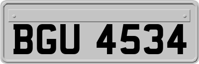 BGU4534