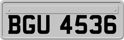 BGU4536