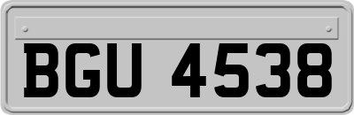 BGU4538