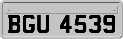 BGU4539