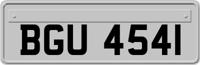 BGU4541