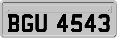 BGU4543