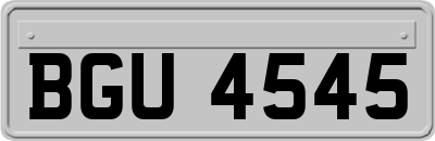 BGU4545