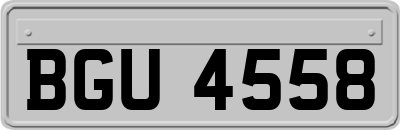BGU4558