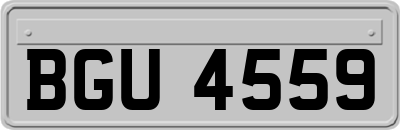 BGU4559