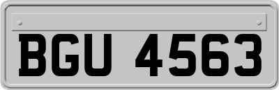 BGU4563