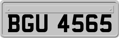 BGU4565