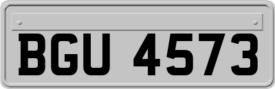 BGU4573