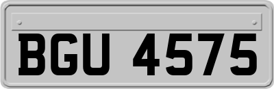 BGU4575
