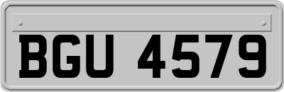 BGU4579