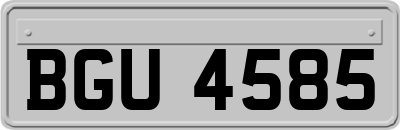 BGU4585
