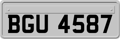 BGU4587