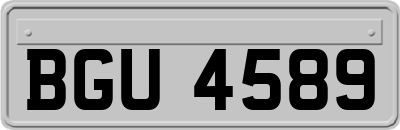 BGU4589