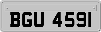 BGU4591