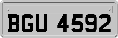 BGU4592