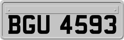BGU4593