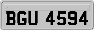 BGU4594