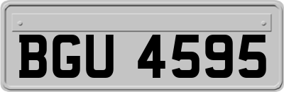 BGU4595
