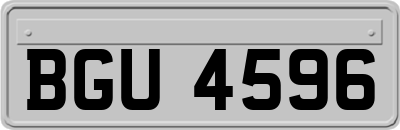 BGU4596