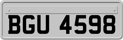 BGU4598