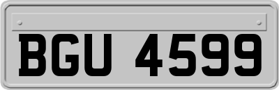 BGU4599