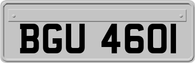 BGU4601